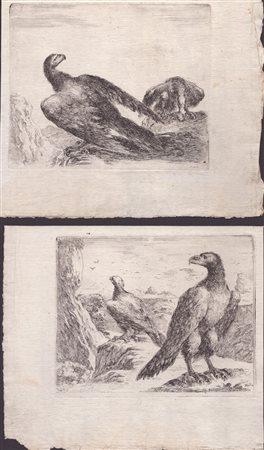 Stefano della Bella (1610 - 1664) 
Due incisioni dalla serie "Les aigles" 1651 ca.
 