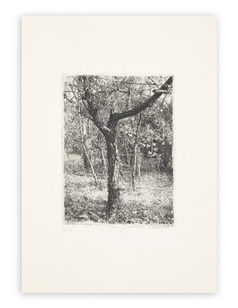 GIOVANNI BARBISAN (1914-1988) - Il mio orto, 1962
