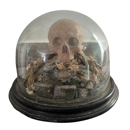 Teschio in scagliola sotto campana di vetro con base in legno. Dimensioni:...