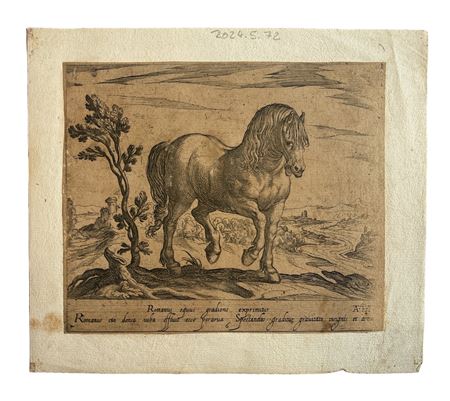 Antonio Tempesta (1555 - 1639) Romanus equus gradiens exprimitur Fine XVI...