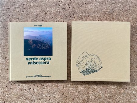 GIANFRANCO BINI - Verde aspra Valsassera, 1995