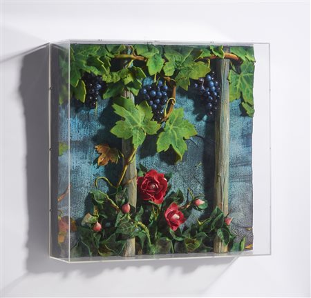 GILARDI PIERO (1942 - 2023) - UVA AMERICANA, 2003.