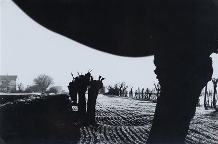MARIO GIACOMELLI Presa di coscienza della natura