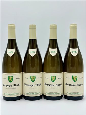 
Domaine René Cacheux, Bourgogne Aligoté 2021
Francia-Bourgogne 0,75