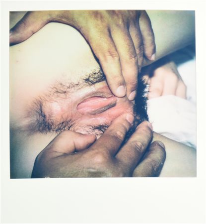 Araki Nobuyoshi SENZA TITOLO polaroid, cm 11x9 sul retro: firma L'opera e'...