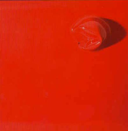 GALLORI Beatrice (Montevarchi, 1978) Human disaster fase II, 2013 tecnica...