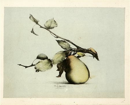 In basso "M. Donizetti, Bergamo".