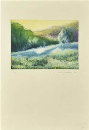 Massimo Lomasto FIUME acquaforte-acquatinta su carta, battuta cm 14,5x19,5,...