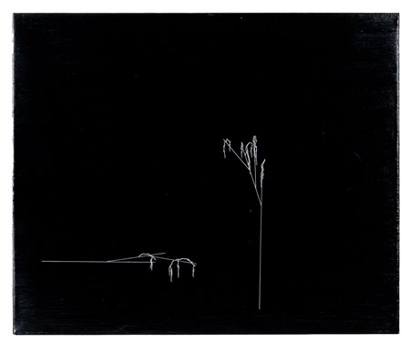 ARIK MIRANDA(1972)Senza titolo (dalla serie 'Bright Days Are...