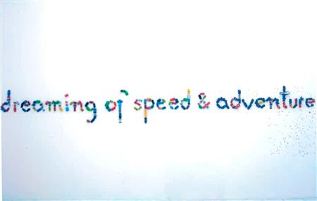 ZUZANNA JANIN(1961)Dreaming of speed and adventure2009-2010Installazione...