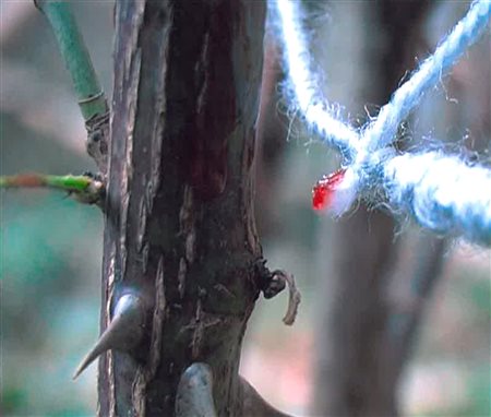 MAGDA TOTHOVA(1979)The Beginning (The aufgang - The beginning)2007Video DVD,...