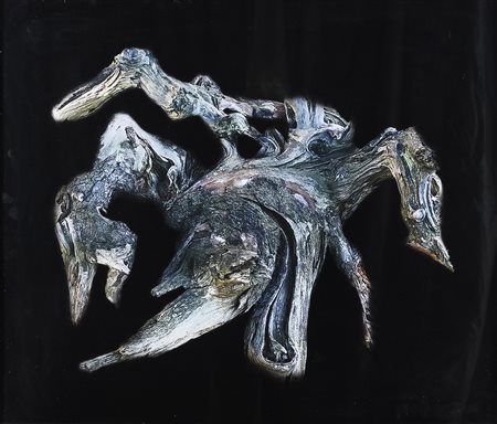 FOTOGRAFIA GRANCHIO DI LUCIANO RUGGERI