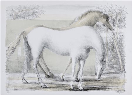 LITOGRAFIA CAVALLI DI DOMENICO PURIFICATO