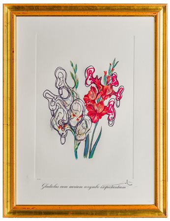 Salvador Dalí (1904 - 1989) 
Gladiolus cum aurium corymbo exspectantium