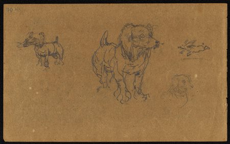 Henri de Toulouse-Lautrec (1864 - 1901) 
Quattro studi di cane (recto); due studi del muso di un cane e due studi di orso (verso), 1877-1884