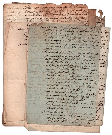 Gaetano Palloni (Montevarchi 1766 - Livorno 1830), Medicina