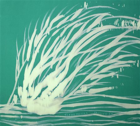 Franca Pisani Essenzialità, 2021 disegno a penna - tecnica mista su tela cm...