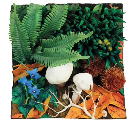 PIERO GILARDI (1942-) Funghi e pervincheacrilico su gommapiuma cm...