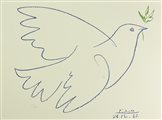 D'apres Pablo Picasso COLOMBA DELLA PACE foto-litografia su carta, cm 50x66;...