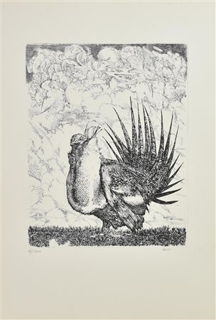 Abacuc VOLATILE, 1983 incisione su carta, cm 31x24,5, su foglio cm 50x35; es....