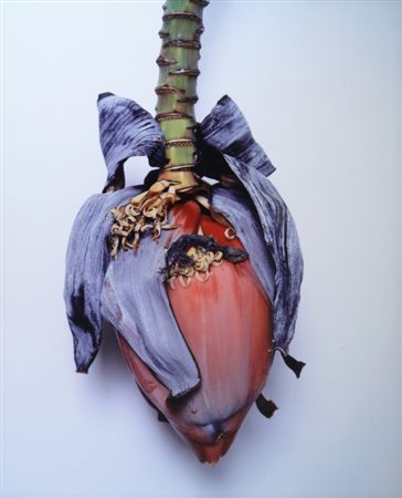 ARAKI (1940-) Senza titolo1996cibachrome135x115x8 cm circafirmata sul...