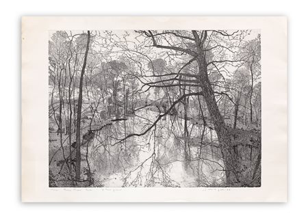 FEDERICA GALLI (1932-2009) - Bosco Pisani Dossi: il terzo giorno, 1977