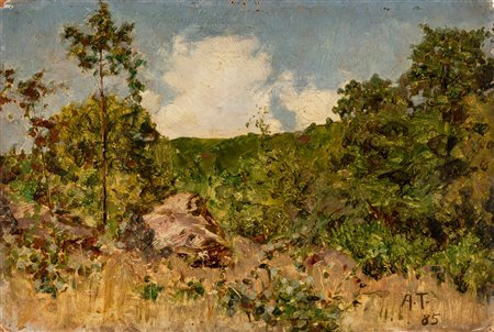 Andrea Tavernier (Torino 1858-Grottaferrata 1932)  - Nuvola bianca, 1885