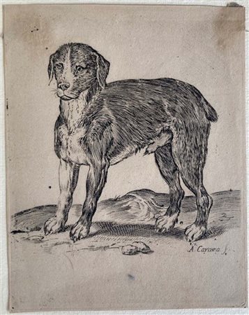 Agostino Carracci
(1557-1602)Un cane in piedi rivolto a sinistra. [ca.1582-85] 