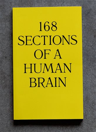 168 sections of a human brain