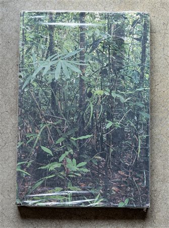 An introduction to the birds