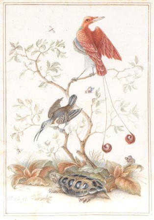 Herman Henstenburgh (Hoorn 1667-Hoorn 1726) Natura viva con uccelli e...