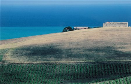 Franco Fontana (1933)  - Paesaggio, Sicilia, 1992