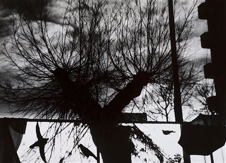 Mario Giacomelli (1925-2000)  - Senza titolo, 1997