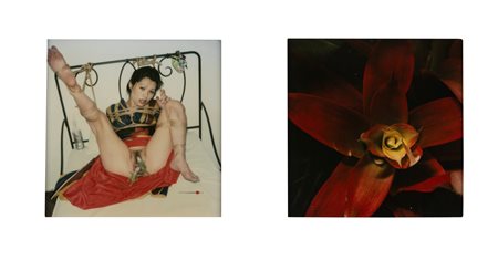 Nobuyoshi Araki (1940)  - Senza titolo (Bondage e Fiore), 1990s