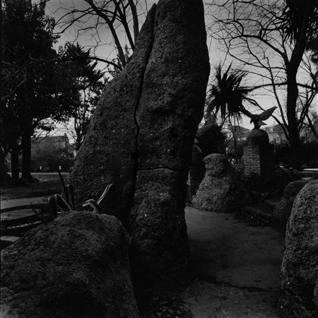 Joan Fontcuberta (1955)  - Senza titolo, 1979