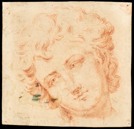 Studio per una testa di ragazzo, artista bolognese del XVIII secolo
