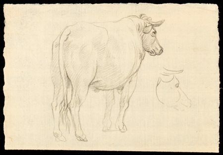 Francesco Londonio (attribuito a) (Milano 1723-Milano 1783). Studio per un bue
