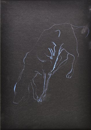 Velasco Vitali (1960) CANE pastello su carta applicata su tela, cm 36x26 sul...