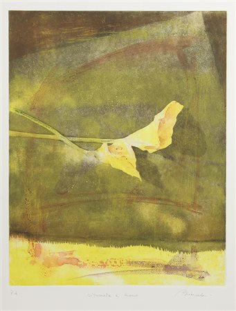 Biancalani Antonio Calle incisione ritoccata a mano, cm. 70x50 es. prova...