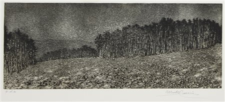 Cellini Alberto Paesaggio incisione su carta, cm. 50x70, es. prova d'artista...