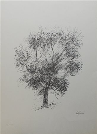 Lilloni Umberto Albero, 1970 fotolitografia su carta, cm. 51x38, es. 16/100...