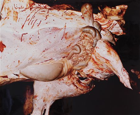 Nitsch Hermann O.M. Theater, 1973 fotografia su carta kodak, cm 50x60, es....