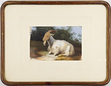 Ignoto del secolo XIX

"Caprone a riposo" 
tecnica mista su cartoncino (cm 14,5