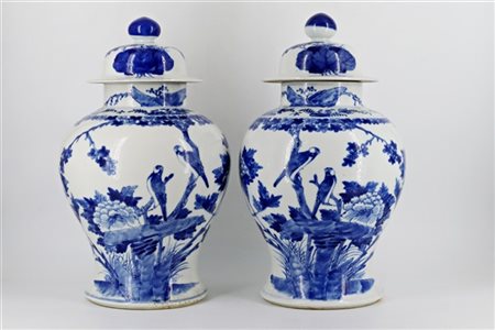 Coppia di potiche in porcellana bianca e blu con decori floreali
Cina, secolo X