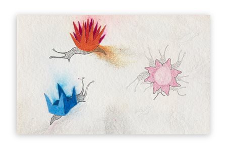 BRUNO BENUZZI (1951) - Teatro animale, 1975