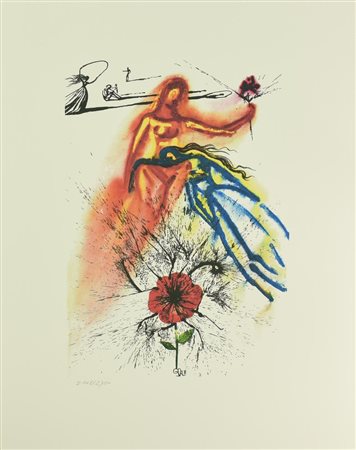 Da Salvador Dali' SENZA TITOLO foto-litografia su carta, cm 60x47; es....