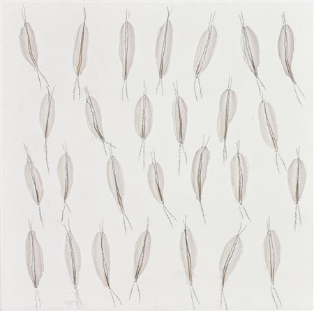 Anna Valla OMBRE, 1997 tecnica mista su tavola cm 30x30 sul retro: firma,...