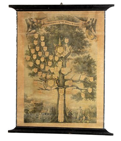 albero genealogico della famiglia Bonaparte 61 x 80 cm stampa intelata