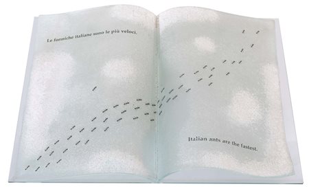 EMILIO ISGRO' (Barcellona Pozzo di Gotto, 1937 - ) Le formiche italiane sono...