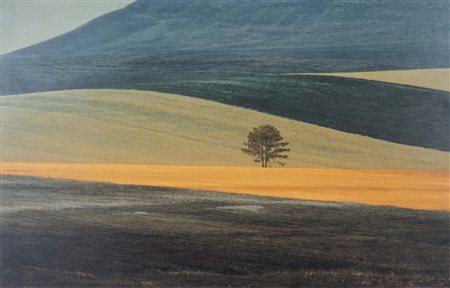 FRANCO FONTANA (Modena 1933, - ) Paesaggio Basilicata 1978 new print 2008 es....